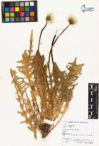 SW_BNB_s3070-02711_IMG-0000000001