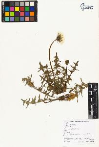 SW_BNB_s3070-02712_IMG-0000000001
