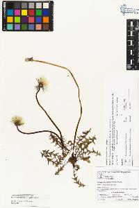 SW_BNB_s3070-02716_IMG-0000000001
