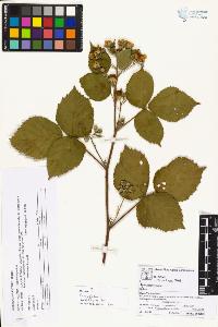 SW_BNB_s3070-02730_IMG-0000000001