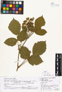 SW_BNB_s3070-02732_IMG-0000000001