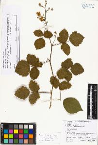 SW_BNB_s3070-02742_IMG-0000000001