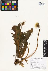 SW_BNB_s3070-02745_IMG-0000000001
