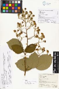 SW_BNB_s3070-02746_IMG-0000000001