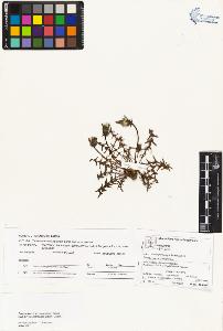 SW_BNB_s3070-02747_IMG-0000000001