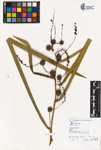 SW_BNB_s3070-02752_IMG-0000000001