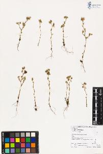 SW_BNB_s3070-02755_IMG-0000000001