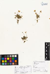 SW_BNB_s3070-02756_IMG-0000000001