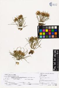 SW_BNB_s3070-02757_IMG-0000000001