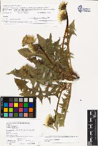 SW_BNB_s3070-02759_IMG-0000000001