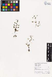 SW_BNB_s3070-02761_IMG-0000000001