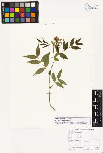 SW_BNB_s3070-02762_IMG-0000000001