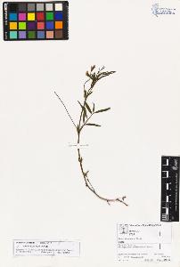 SW_BNB_s3070-02768_IMG-0000000001