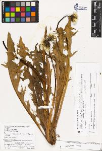 SW_BNB_s3070-02769_IMG-0000000001