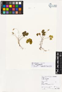 SW_BNB_s3070-02770_IMG-0000000001