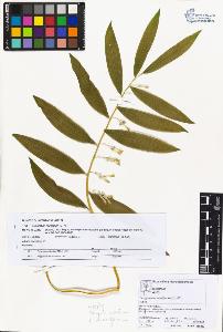 SW_BNB_s3070-02771_IMG-0000000001