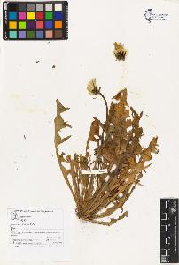 SW_BNB_s3070-02775_IMG-0000000001
