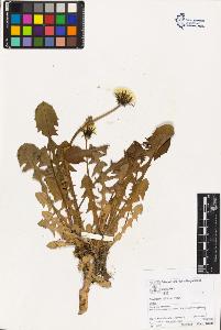 SW_BNB_s3070-02776_IMG-0000000001