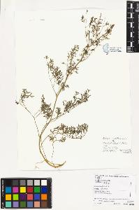 SW_BNB_s3070-02786_IMG-0000000001