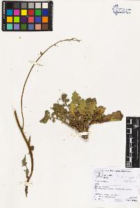SW_BNB_s3070-02790_IMG-0000000001