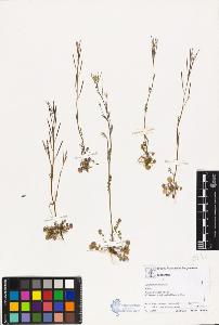SW_BNB_s3070-02793_IMG-0000000001