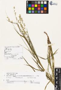 SW_BNB_s3070-02794_IMG-0000000001