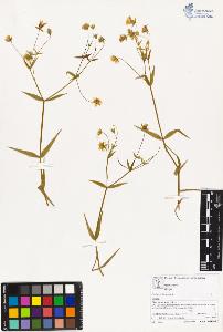 SW_BNB_s3070-02795_IMG-0000000001