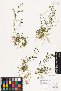 SW_BNB_s3070-02799_IMG-0000000001