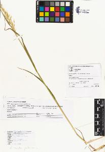 SW_BNB_s3070-02801_IMG-0000000001