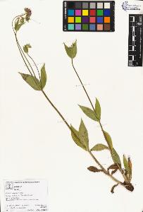SW_BNB_s3070-02802_IMG-0000000001