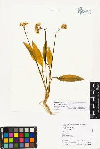 SW_BNB_s3070-02803_IMG-0000000001