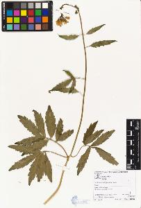 SW_BNB_s3070-02804_IMG-0000000001