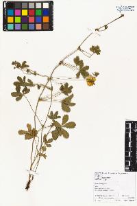 SW_BNB_s3070-02807_IMG-0000000001