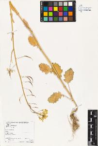 SW_BNB_s3070-02813_IMG-0000000001