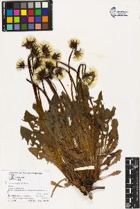 SW_BNB_s3070-02815_IMG-0000000001