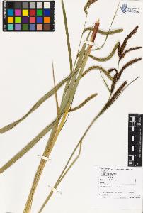 SW_BNB_s3070-02823_IMG-0000000001