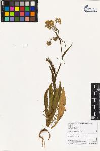 SW_BNB_s3070-02829_IMG-0000000001