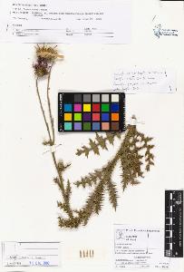 SW_BNB_s3070-02830_IMG-0000000001