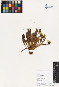 SW_BNB_s3070-02834_IMG-0000000001