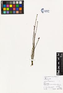 SW_BNB_s3070-02841_IMG-0000000001