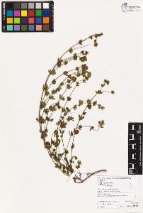 SW_BNB_s3070-02848_IMG-0000000001