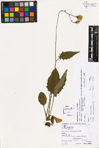 SW_BNB_s3070-02855_IMG-0000000001