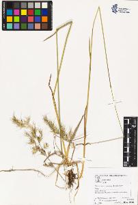 SW_BNB_s3070-02857_IMG-0000000001