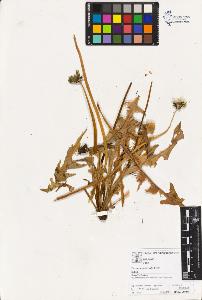 SW_BNB_s3070-02859_IMG-0000000001