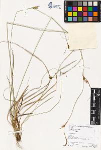 SW_BNB_s3070-02861_IMG-0000000001