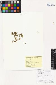 SW_BNB_s3070-02868_IMG-0000000001