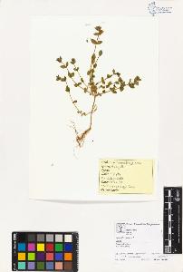 SW_BNB_s3070-02870_IMG-0000000001