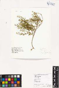 SW_BNB_s3070-02874_IMG-0000000001