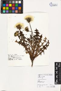 SW_BNB_s3070-02875_IMG-0000000001