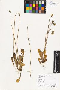 SW_BNB_s3070-02879_IMG-0000000001